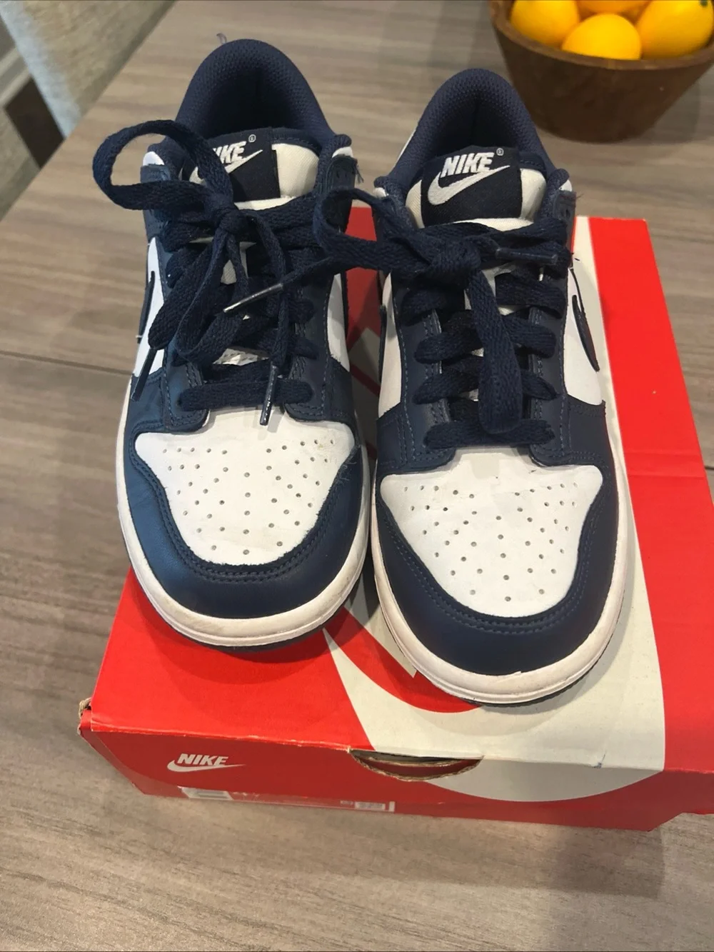 Nike Dunk Low Unisex Kids Sneaker Blue/White Leather Low Top US 4Y